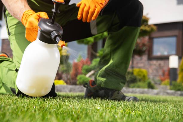 Best Best Pest Control Companies  in Cordele, GA