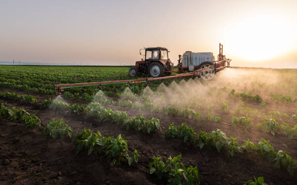 Best Pest Control Cost  in Cordele, GA