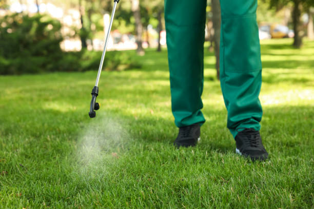 Best Pest Inspection Near Me  in Cordele, GA