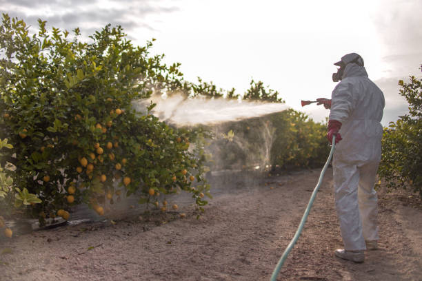 Best Exterminator Services  in Cordele, GA