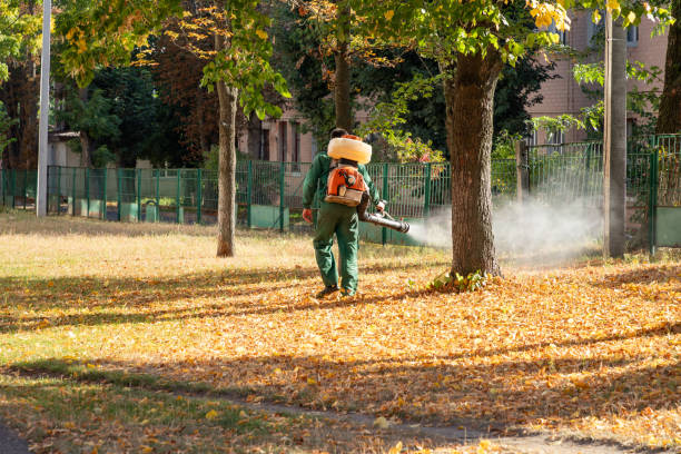 Best Local Pest Control Services  in Cordele, GA