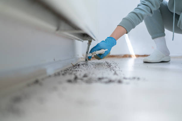 Best Pest Control for Restaurants  in Cordele, GA