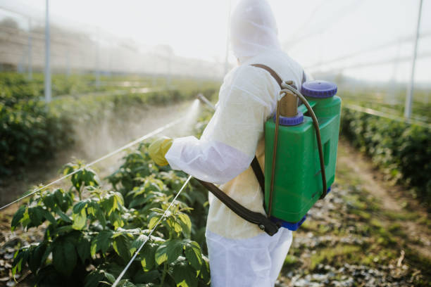 Best Emergency Pest Control  in Cordele, GA